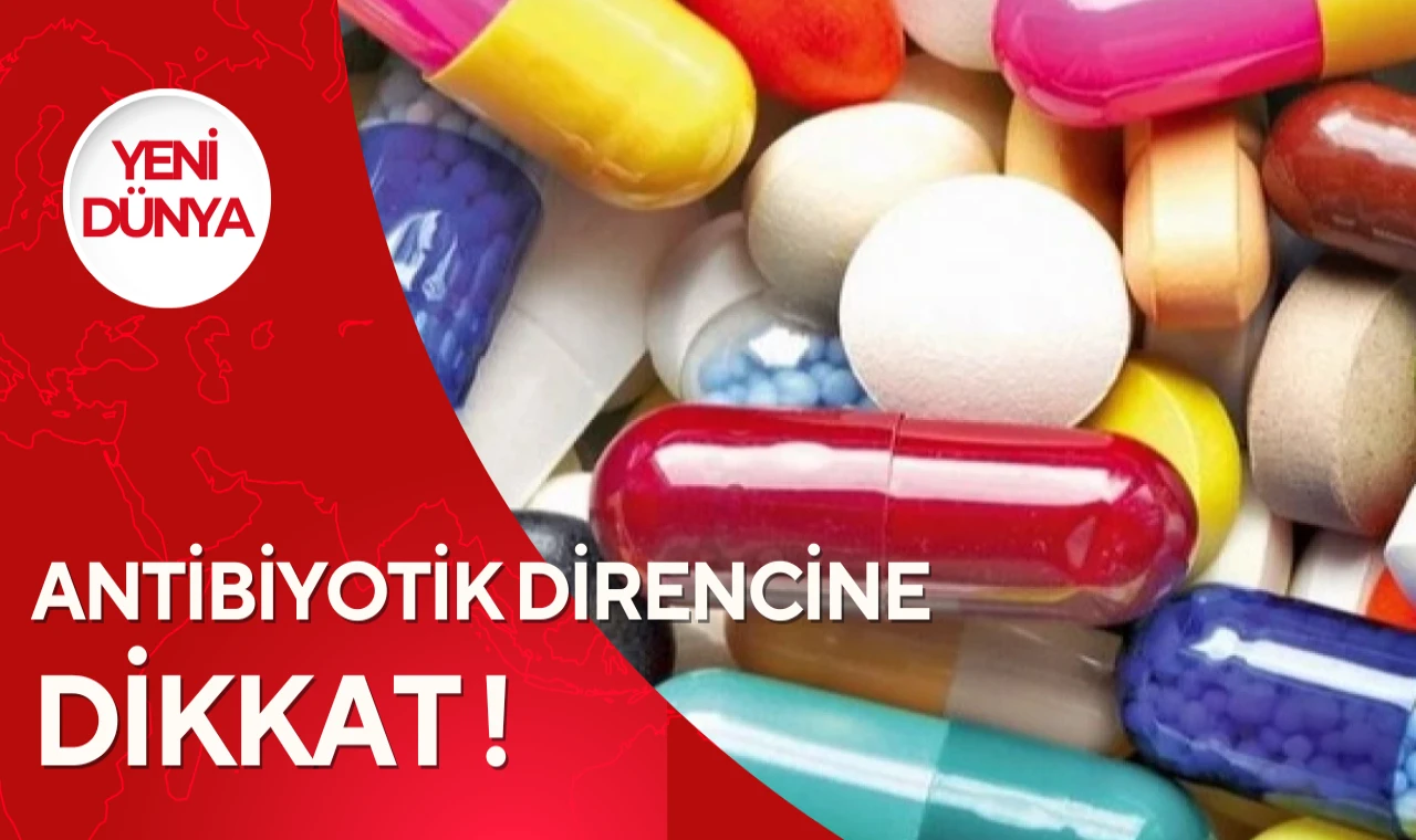 İnsan, hayvan ve çevre sağlığını içeren ‘tek’ sağlık sorunu: Antibiyotik direnci